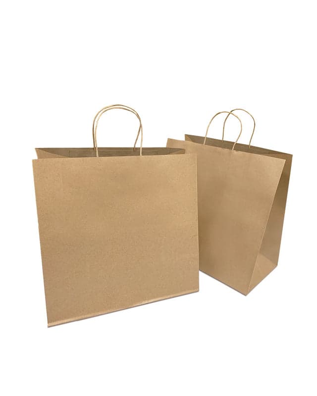 Medium Kraft Paper Bag with Twisted Handles 10" x 6" x 13" | 250 Pcs