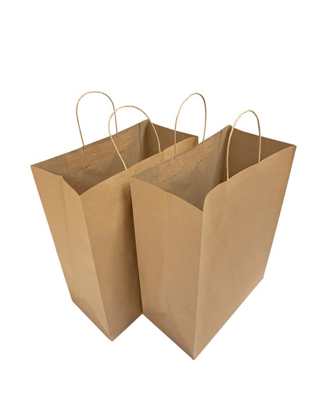 Small Kraft Paper Bags with Twisted Handles (8" x 5" x 11") | Pack of 250 - Image 2